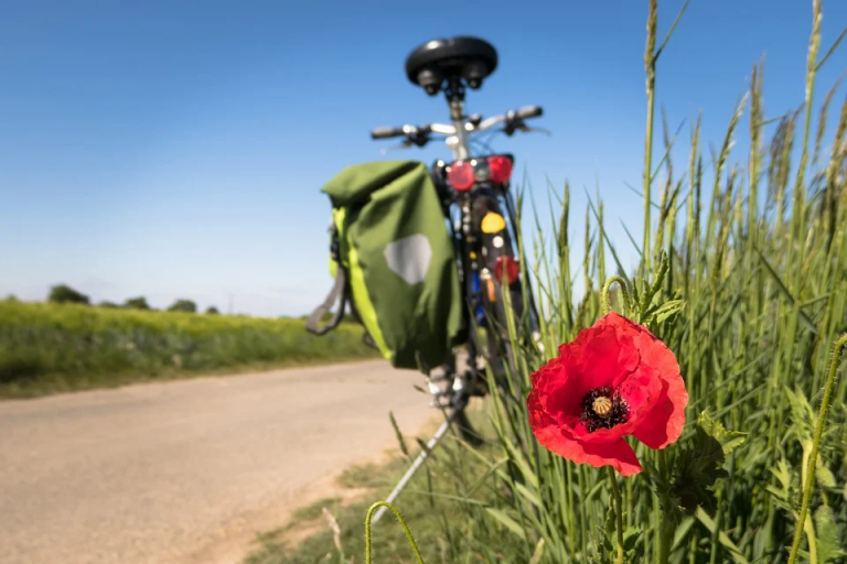 Circuits à Vélo au Maroc