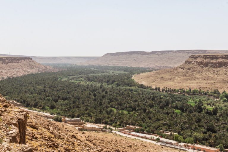la Vallée du Draa : Route de la Beauté
