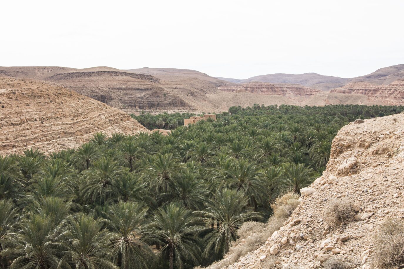 Draa Valley in morocco