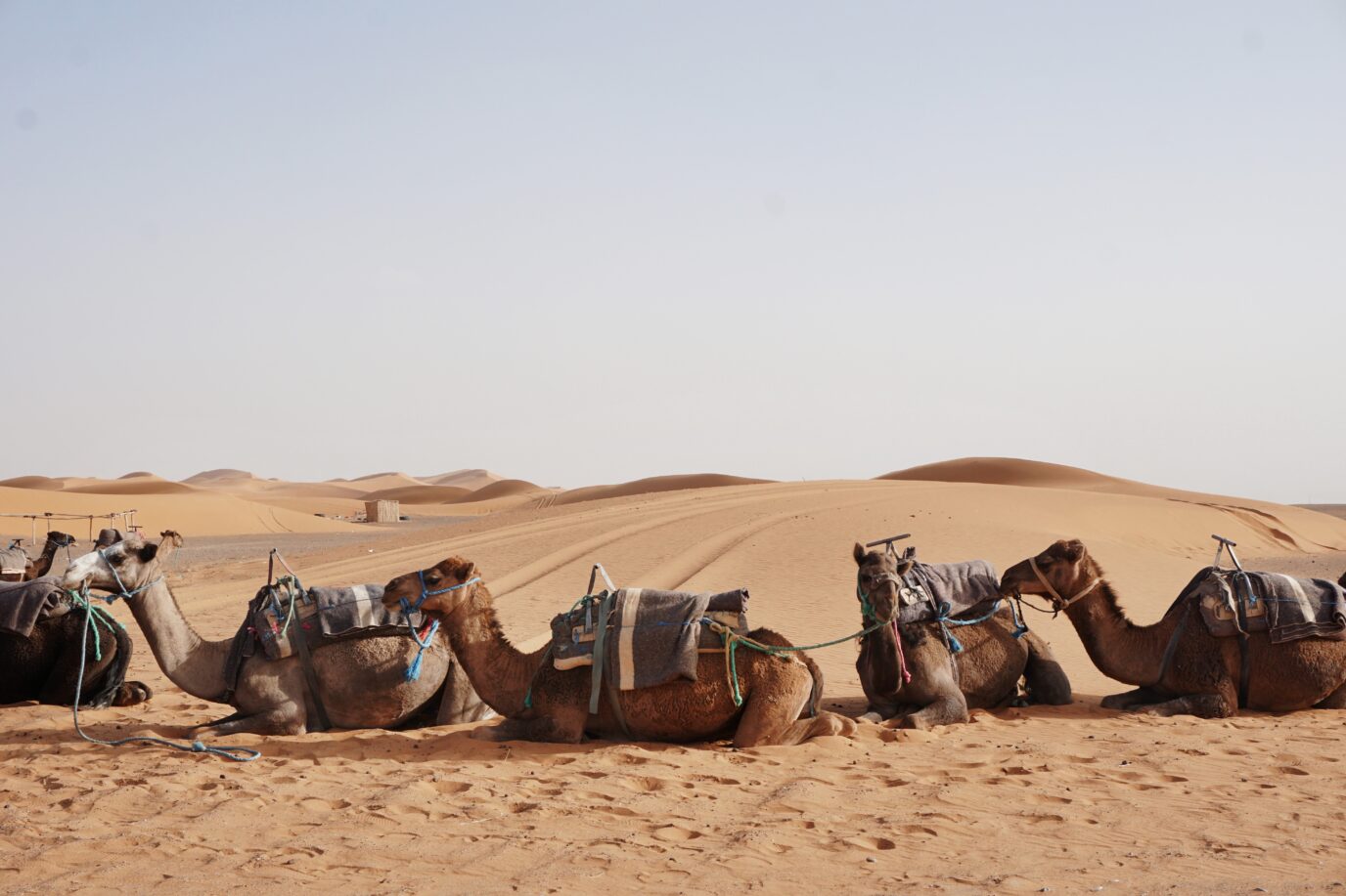 Erg Chebbi