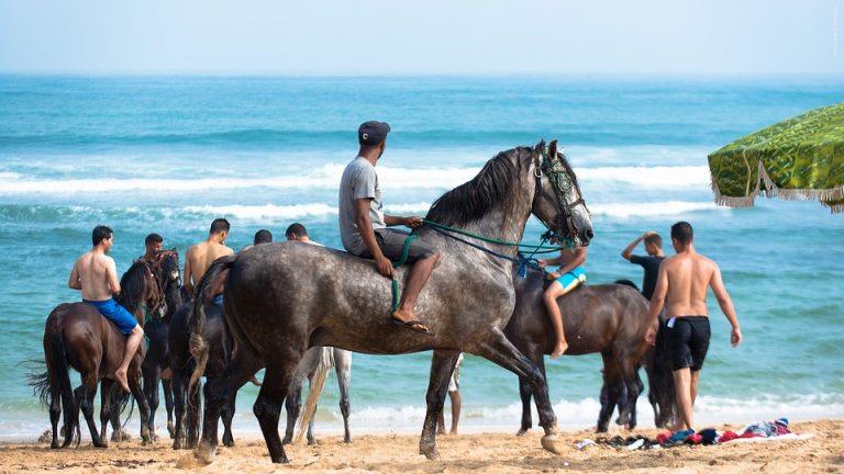 Reiten in Marokko