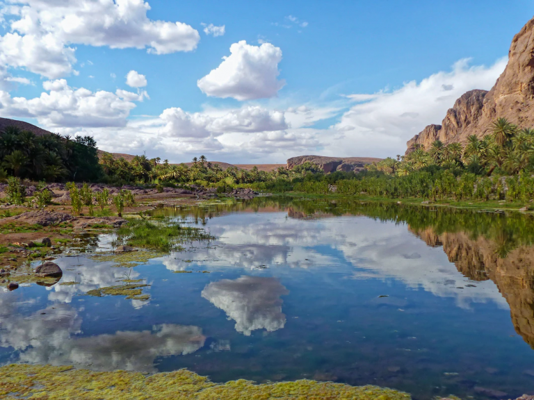 Oasis de Fint Beauté cachée parmi les collines