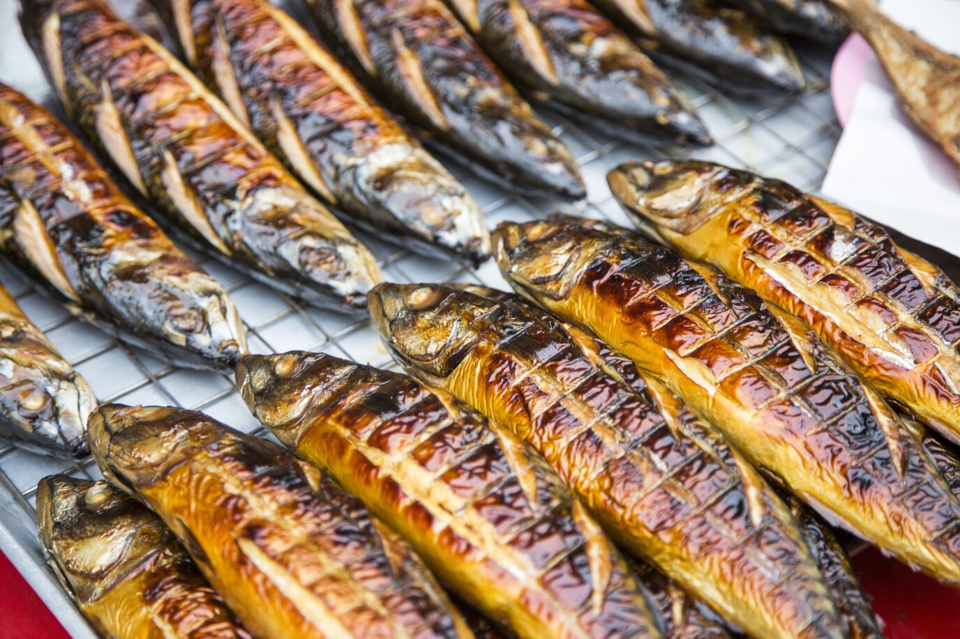Sardines