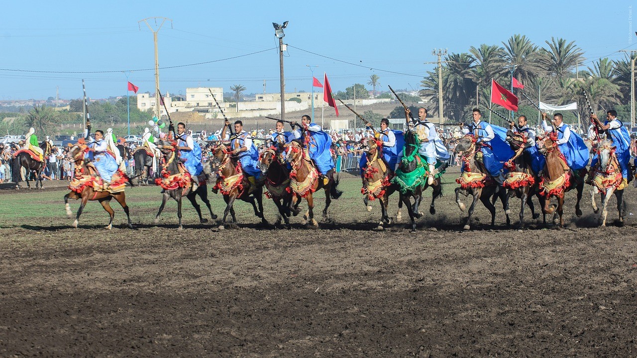 Tbourida morocco