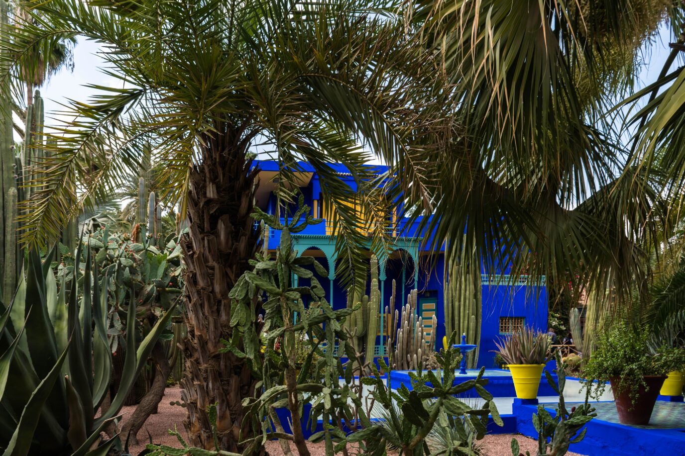 garden of the Majorelle House